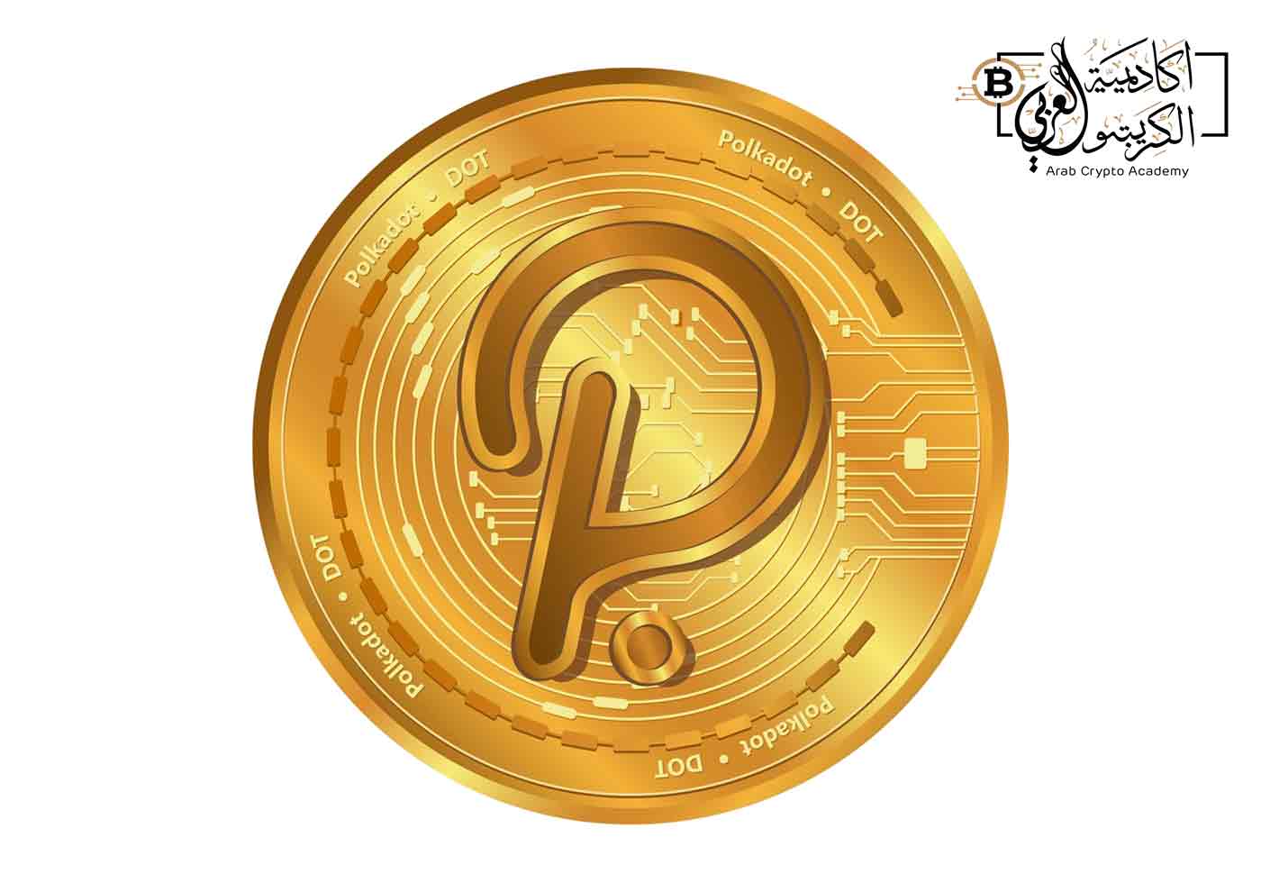 بداية ونشأة عملة Polkadot: