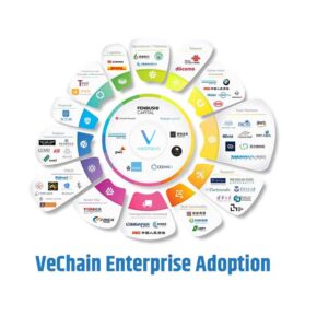 VeChain Enterprise Adoption
