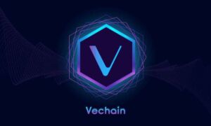 VeChain Identity (VID)