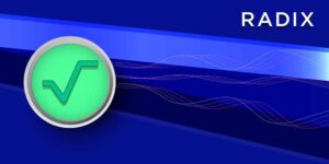 رؤية وهدف عملة Radix