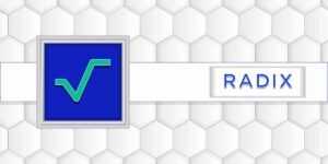 مشاريع عملة Radix