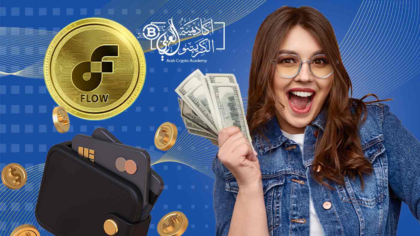 عملة FLOW وما هي أهداف مشاريعها