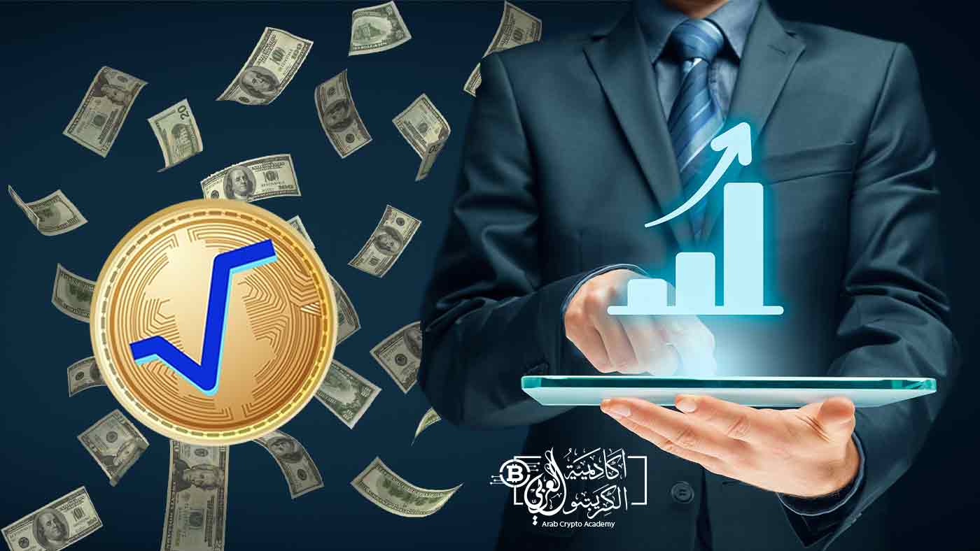 ما هي عملة Radix وما هي أهداف مشاريعها