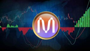 مميزات وعيوب عملة Mina Protocol