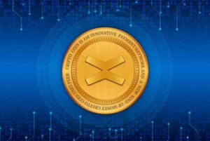 ما هي أهداف مشاريع عملة MultiversX